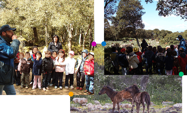 parco-della-giara-speciale-scuole-2